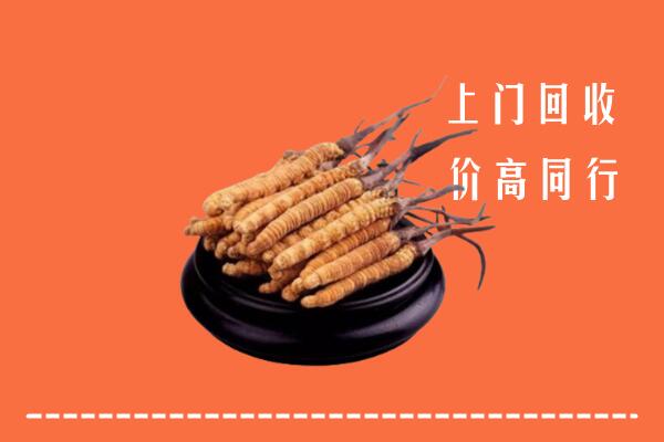 高价求购：商州区回收散虫草